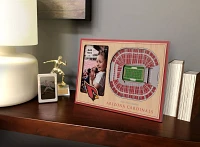 You the Fan Arizona Cardinals 3D Picture Frame