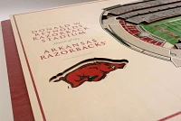 You the Fan Arkansas Razorbacks 5-Layer StadiumViews 3D Wall Art