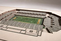 You the Fan Iowa Hawkeyes 5-Layer StadiumViews 3D Wall Art