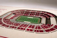 You the Fan Arizona Cardinals 5-Layer StadiumViews 3D Wall Art