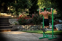 Stamina Outdoor Fitness Power Tower