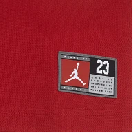 Jordan Little Boys' 23 Jersey Set