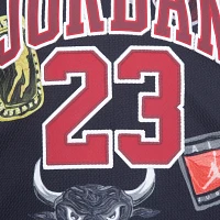 Jordan Little Boys' 23 Printed Jersey Set