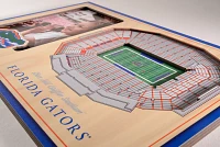 You the Fan Florida Gators 3D Picture Frame