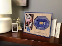 You the Fan Kentucky Wildcats 3D Picture Frame