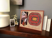 You the Fan Louisville Cardinals 3D Picture Frame