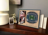 You the Fan Philadelphia Eagles 3D Picture Frame