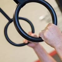 Body Solid Exercise Rings