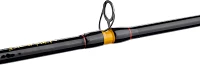 Ugly Stik Bigwater Conventional Rod