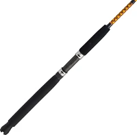 Ugly Stik Bigwater Conventional Rod