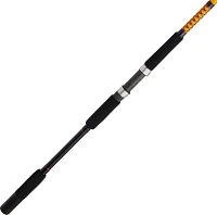 Ugly Stik Bigwater 2 Piece Spinning Rod