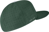 Nike Men's Michigan State Spartans Green Aero True Baseball Fitted Hat