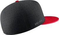 Nike Men's San Diego State Aztecs Black Aero True Baseball Fitted Hat