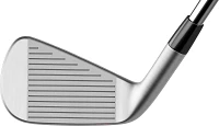 TaylorMade P790 Custom Irons