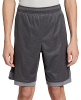 DSG Boys' Basketball Shorts