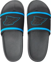 Nike Men's Offcourt Panthers Slides