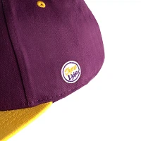 Dyme Lyfe Men's LSU Tigers Purple Colorblock Logo Snapback