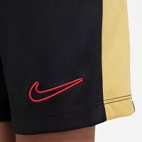 Nike Boys' Dri-FIT Academy23 Shorts