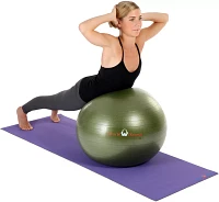 Natural Fitness 300 lb Burst Resistant Exercise Ball