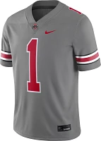 Nike Men's Ohio State Buckeyes Grey Dri-FIT Alternate Game Football Jersey