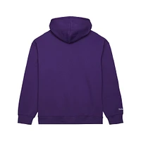 Mitchell and Ness Men's Phoenix Suns Purple All Hoodie