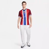 Nike Adult Norway 2024 Home Replica Jersey