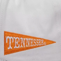 Mitchell & Ness Men's Tennessee Volunteers White Tailsweep Pro Adjustable Snapback Hat