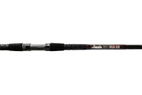 Lamiglas Insane Surf Spinning Rod