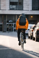 Thule Paramount Commuter Backpack