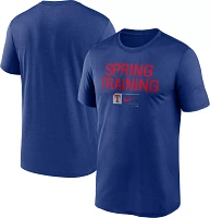 Nike Men's Texas Rangers Blue Spring Training Legend T-Shirt