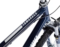 Nishiki Men's Tamarack Comfort Bike