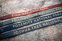 Arcade Men's National Parks Joshua Tree Belt