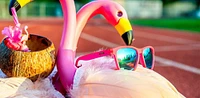 Goodr Flamingos On A Booze Cruise Sunglasses