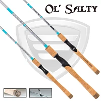 Favorite Fishing Ol' Salty Spinning Rod