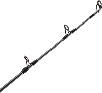 Penn Fishing Surf Conventional Rod