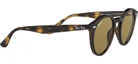 Ray-Ban Havana Sunglasses