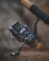 Daiwa Regal LT Spinning Reel