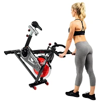 Sunny Health & Fitness SF-B1002 Belt Drive Cycle Bike