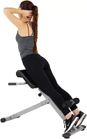 Sunny Health and Fitness 45° Hyperextension Roman Chair