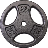 Fitness Gear Standard Cast Plate - Single