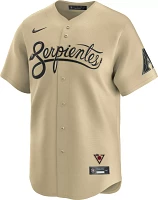 Nike Men's Replica Arizona Diamondbacks 2024 City Connect Blank Cool Base Jersey