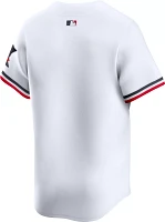 Nike Men's Minnesota Twins White Blank Limited Vapor Jersey