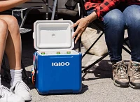 Igloo 11 Qt. Tag Along Too Cooler