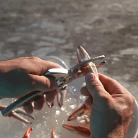 ToadFish Crab claw Cutter