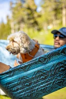 Grand Trunk Tech Double Printed Hammock