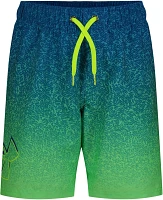 Under Armour Boys' Tipped Logo Volley Shorts