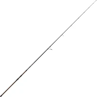 St. Croix Avid Series Surf Spinning Rod