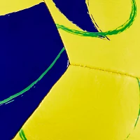 DICK'S Sporting Goods Brazil Soccer Ball