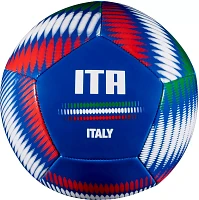 DICK'S Sporting Goods Italy Mini Soccer Ball