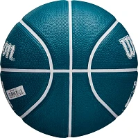 Wilson NBA DRV Mini Basketball